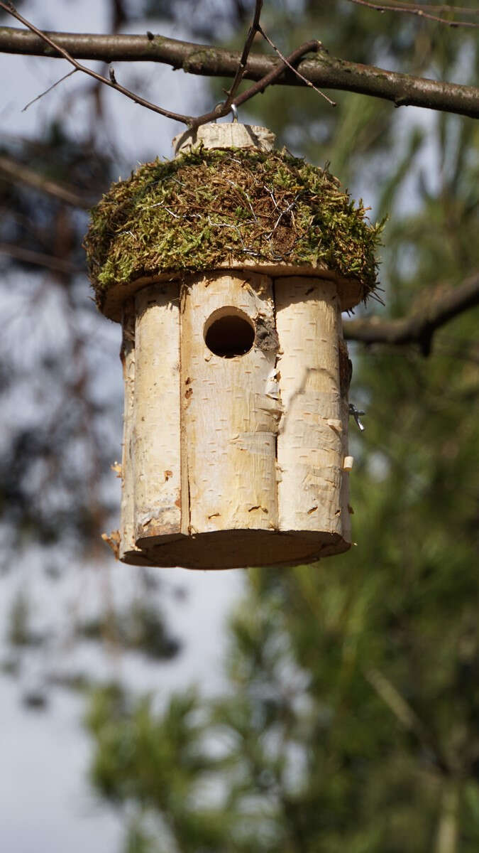 PATKAR Nistkasten mit Moosdach